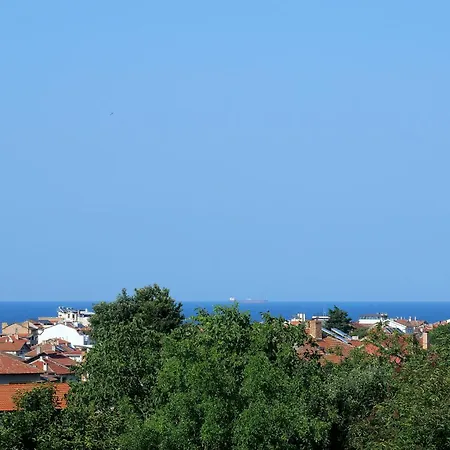 ели * Csernomorec